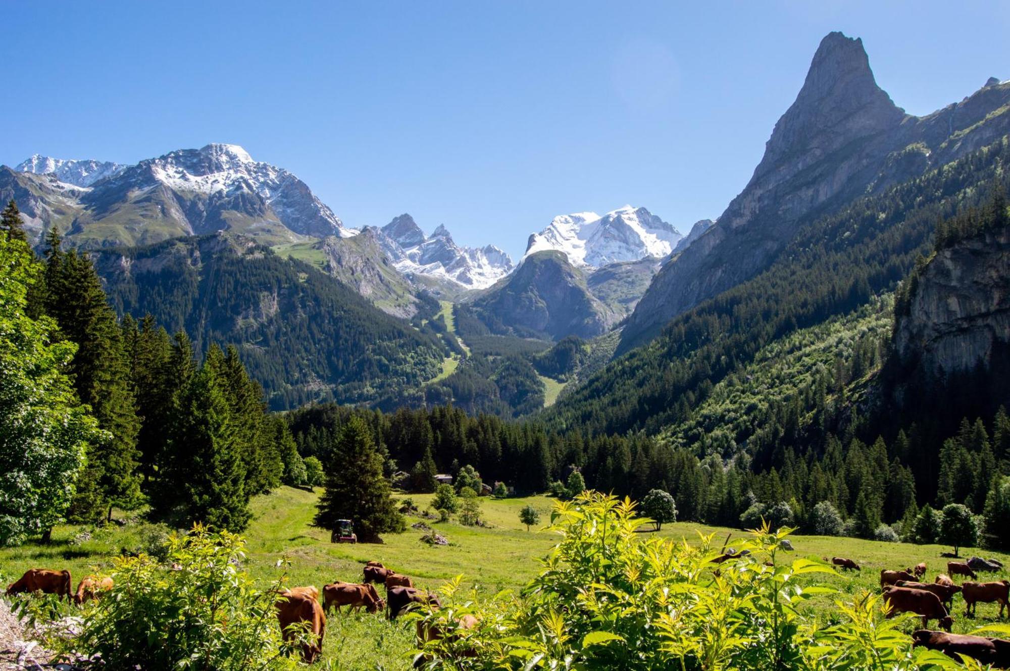 Les Airelles 3* Pralognan-la-Vanoise